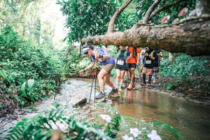 BIB: 
                            <button type="button" onclick="openModal(25517507)" class="btn btn-primary btn-sm float-right btn-popup" data-toggle="modal" data-target=".modal-high-quality">
                        <i class="fas fa-shopping-cart"></i> Add to Cart
                    </button>
                                            <button type="button" onclick="isThisMe(25517507, true)" class="btn btn-success btn-sm float-right btn-popup btn-isme hidden" data-toggle="tooltip" data-placement="bottom" title="นี่คือรูปของคุณใช่ไหม คลิกที่นี่เพื่อเอาเข้าอัลบั้ม">
                        <i class="fas fa-plus"></i> Add to album
                    </button>
                    <button type="button" onclick="isThisMe(25517507, false)" class="btn btn-warning btn-sm float-right btn-popup btn-isnotme hidden">
                        <i class="fas fa-ban"></i> Remove from album
                    </button>